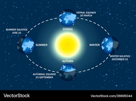 Earth seasons diagram Royalty Free Vector Image