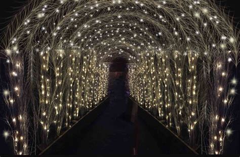 Winter Tunnel - Eventologists