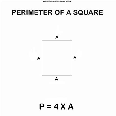 Perimeter of a square ~ Maths Tricks and Tips