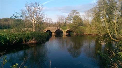 River Lagan (Ireland) at Drumbeg // Lia: My Irish ancestors were from ...