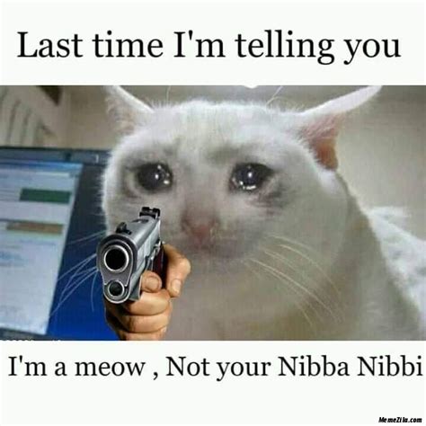 90+ 14-Years-Old Nibba Nibbi Memes - Funny Memes