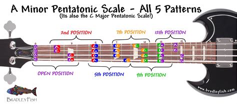 For the BASSISTS!!! The A Minor Pentatonic Scale - All positions ...