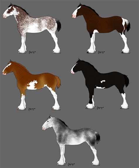 Clydesdale Horse Drawing at GetDrawings | Free download