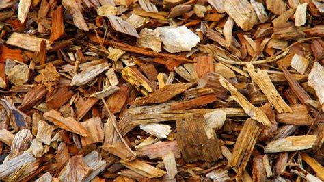 Here Is Everything About Using Pine Bark Mulch In Vegetable Garden ...