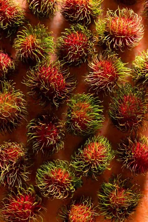 What is Rambutan and How to Eat It | Foodtasia