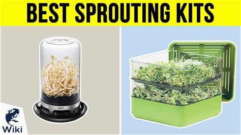 8 Best Sprouting Kits 2019 - YouTube