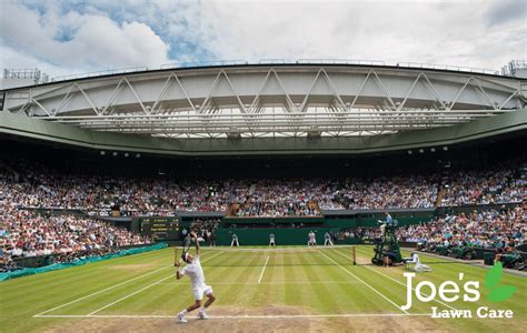 How To Make Your Lawn Look Like Centre Court At Wimbledon - Joe's Lawn Care