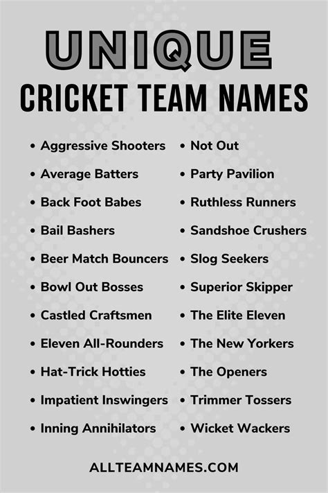 60 Unique Cricket Team Names For Winners