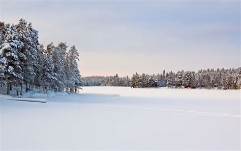 Snowy Fields Wallpaper - WallpaperSafari