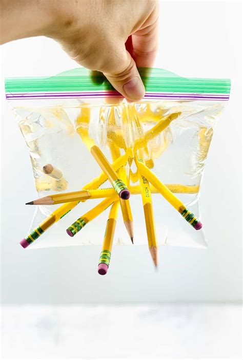 PENCIL IN WATER BAG EXPERIMENT - Hello Wonderful