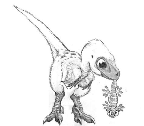 Sketch for baby velociraptor | Drawings, Dinosaur art, Dinosaur drawing