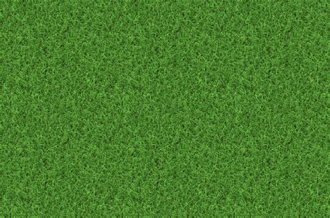 Free photo: Grass Texture - Grass, Green, Nature - Free Download - Jooinn