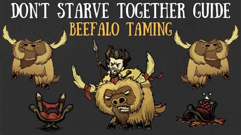 Don't Starve Together Guide: Beefalo Taming - YouTube