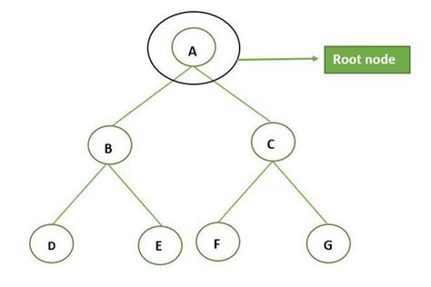 What are the different types of Nodes in a Tree - GeeksforGeeks