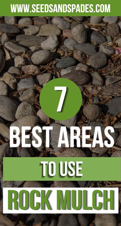 7 Areas Where Rock Mulch is the Perfect Choice | Rock mulch, Mulch ...