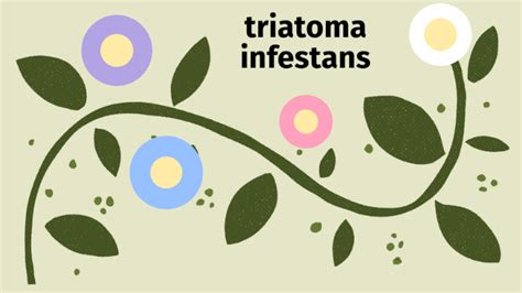 triatoma infestans by anyli amador on Prezi