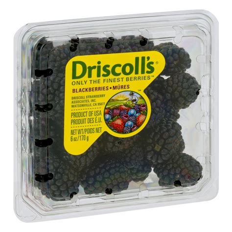 Driscoll's Blackberries | Hy-Vee Aisles Online Grocery Shopping