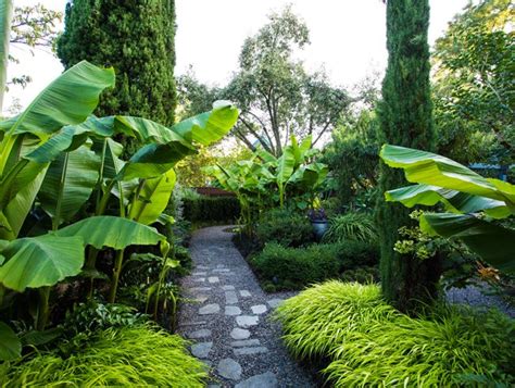 10 Tropical Garden Ideas for a Resort-Like Landscape | Garden Design