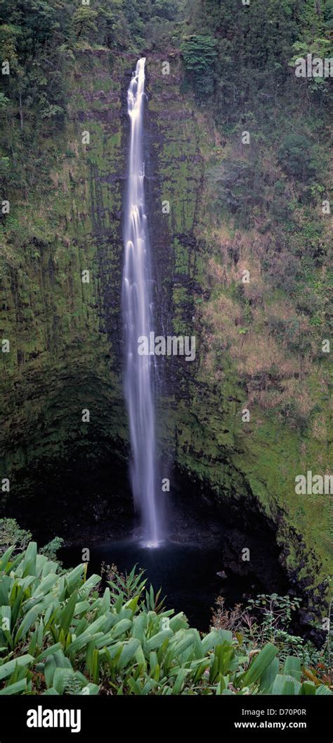 Hawaii. Akaka Falls waterfall Stock Photo - Alamy