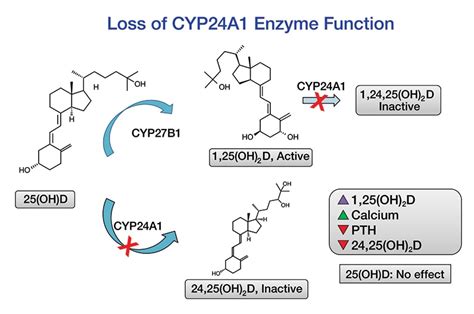 Ratio of 25(OH)D-to-24,25(OH)2D: A new test to confirm 24-hydroxylase ...