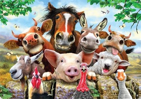 Farm Animal Selfie | Animaux de la ferme, Animaux, Animales