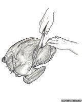 How to Carve a Turkey | Martha Stewart