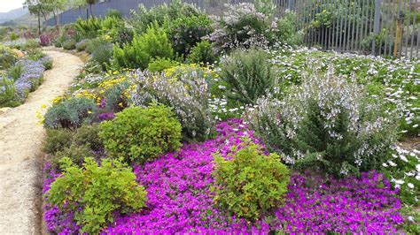 Fynbos Gardens Hermanus: Spring 2014 Front Landscaping, Landscaping ...