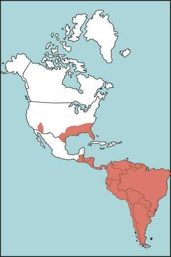 coral-snake-range-habitat-map.jpg