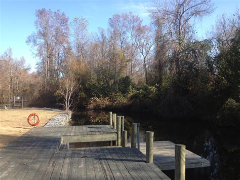 Kayak Virginia: The Great Dismal Swamp, Lake Drummond.