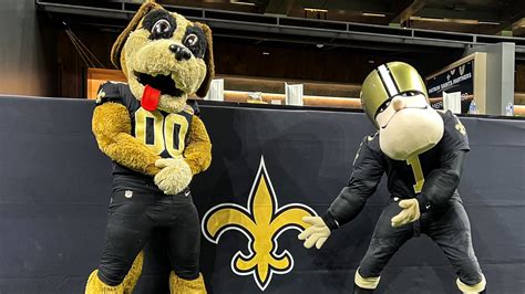 What is the New Orleans Saints Mascot: Unraveling the Mystery ...