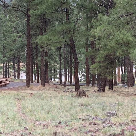 Kaibab National Forest Kaibab Lake Campground | The Dyrt