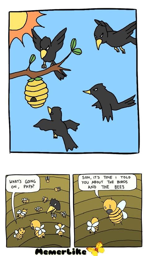 Birds and the bees. - Meme by MemerLike :) Memedroid