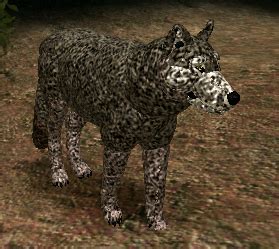 Dire Wolf | Cenozoic Survival Roblox Wiki | Fandom