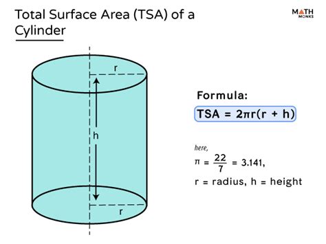 Surface Area of a Cylinder - Definition, Formulas, & Examples