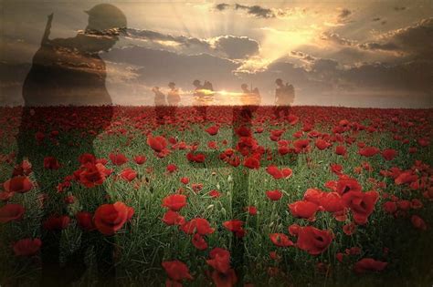 flanders field poppies torch - Google Search | Poppies | Pinterest ...