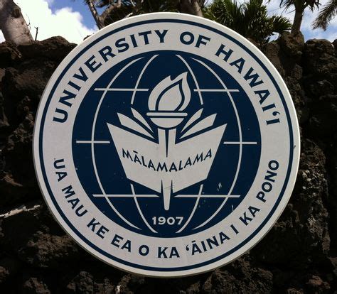 hawaii state university mascot - Google Search | University of hawaii