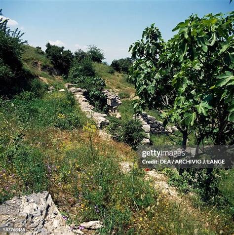 Ancient Boeotia Photos and Premium High Res Pictures - Getty Images