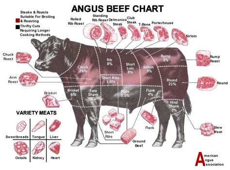 Beef Cuts Chart | Grill Thrill