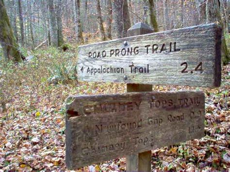 Chimney Tops Trail – Smokies Guide