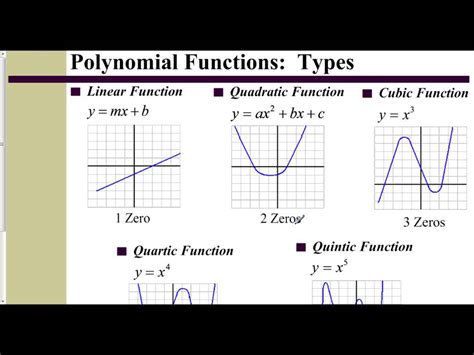 Polynomial graph - colourjord