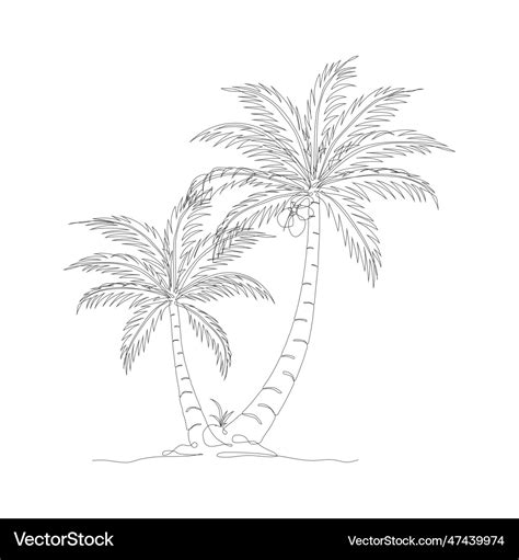 Coconut tree line art drawing Royalty Free Vector Image