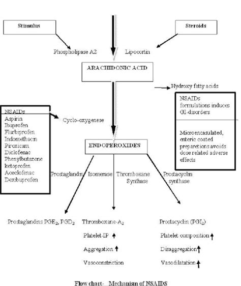 Nsaid Mechanism Of Action