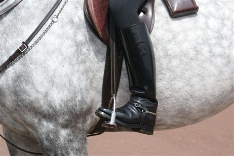 The 5 Best Dressage Boots for English Horse Riding - Equineigh