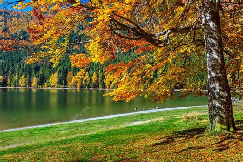 Autumn landscape with colorful forest,St Ana Lake,Transylvania,Romania ...