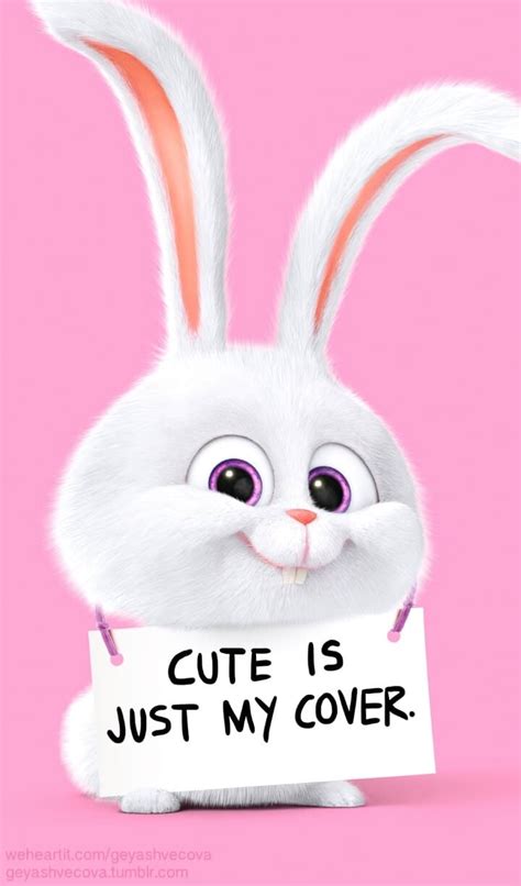 Cartoon Rabbit Wallpapers - Wallpaper Cave