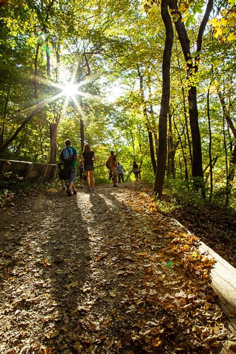 Starved Rock State Park Campground Camping | The Dyrt