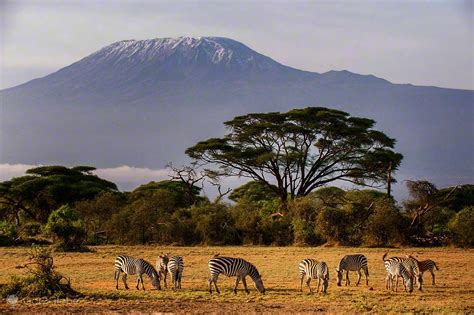 latitud y longitud kilimanjaro - Boris Wallace