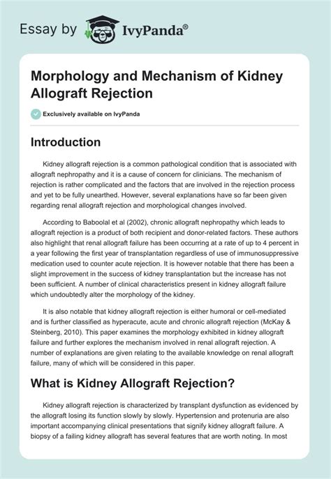 Morphology and Mechanism of Kidney Allograft Rejection - 3871 Words ...