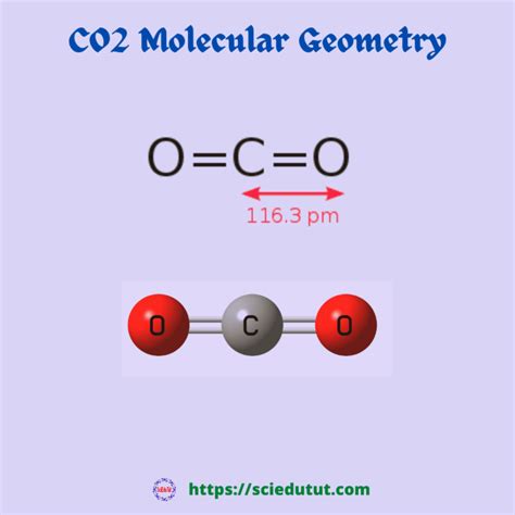 CO2 Molecular Geometry - Science Education and Tutorials