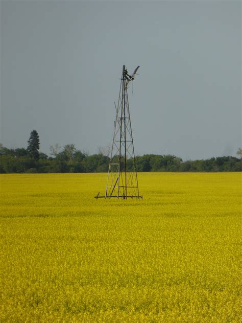 Saskatoon weather outlook: blistering 30 degree heat will be back ...